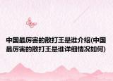 中國(guó)最厲害的散打王是誰(shuí)介紹(中國(guó)最厲害的散打王是誰(shuí)詳細(xì)情況如何)