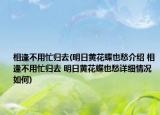 相逢不用忙歸去(明日黃花蝶也愁介紹 相逢不用忙歸去 明日黃花蝶也愁詳細(xì)情況如何)