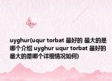 uyghur(uqur torbat 最好的 最大的是哪個介紹 uyghur uqur torbat 最好的 最大的是哪個詳細(xì)情況如何)