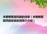 未若柳絮因風(fēng)起的詩意（未若柳絮因風(fēng)起是誰的詩簡介介紹）
