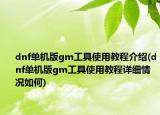 dnf單機(jī)版gm工具使用教程介紹(dnf單機(jī)版gm工具使用教程詳細(xì)情況如何)