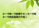 小一寸和一寸的哪個大（大一寸和小一寸的區(qū)別簡介介紹）
