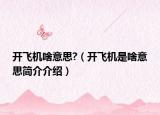 開飛機(jī)啥意思?（開飛機(jī)是啥意思簡(jiǎn)介介紹）