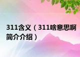 311含義（311啥意思啊簡介介紹）
