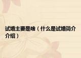 試婚主要是啥（什么是試婚簡介介紹）
