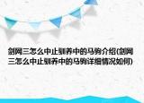 劍網(wǎng)三怎么中止馴養(yǎng)中的馬駒介紹(劍網(wǎng)三怎么中止馴養(yǎng)中的馬駒詳細情況如何)