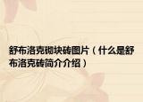 舒布洛克砌塊磚圖片（什么是舒布洛克磚簡(jiǎn)介介紹）