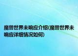 魔獸世界未響應(yīng)介紹(魔獸世界未響應(yīng)詳細(xì)情況如何)