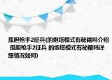 孤膽槍手2征兵(的炮塔模式有秘籍嗎介紹 孤膽槍手2征兵 的炮塔模式有秘籍嗎詳細(xì)情況如何)