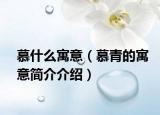 慕什么寓意（慕青的寓意簡介介紹）