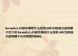 kawaks1.45的宏都是什么意思(ABCD的組合建用哪個(gè)宏介紹 kawaks1.45的宏都是什么意思 ABCD的組合建用哪個(gè)宏詳細(xì)情況如何)