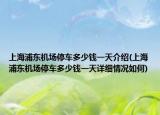 上海浦東機場停車多少錢一天介紹(上海浦東機場停車多少錢一天詳細(xì)情況如何)