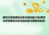 奧特兄弟有哪些合體光線技能介紹(奧特兄弟有哪些合體光線技能詳細(xì)情況如何)