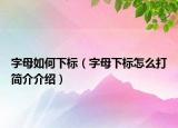 字母如何下標(biāo)（字母下標(biāo)怎么打簡(jiǎn)介介紹）