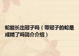 蛇能長出冠子嗎（帶冠子的蛇是成精了嗎簡介介紹）