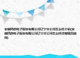 安徽四創(chuàng)電子股份有限公司遼寧分公司怎么樣介紹(安徽四創(chuàng)電子股份有限公司遼寧分公司怎么樣詳細(xì)情況如何)