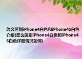 怎么區(qū)別iPhone4白色和iPhone4S白色介紹(怎么區(qū)別iPhone4白色和iPhone4S白色詳細(xì)情況如何)
