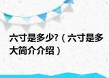 六寸是多少?（六寸是多大簡介介紹）