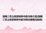 劍網(wǎng)三怎么收獲馴養(yǎng)中的馬駒介紹(劍網(wǎng)三怎么收獲馴養(yǎng)中的馬駒詳細(xì)情況如何)