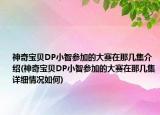 神奇寶貝DP小智參加的大賽在那幾集介紹(神奇寶貝DP小智參加的大賽在那幾集詳細(xì)情況如何)