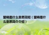 望哨是什么意思簡(jiǎn)短（望哨是什么意思簡(jiǎn)介介紹）