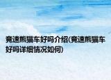 競速熊貓車好嗎介紹(競速熊貓車好嗎詳細情況如何)
