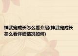 神武寵成長(zhǎng)怎么看介紹(神武寵成長(zhǎng)怎么看詳細(xì)情況如何)