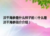 淡干海參是什么樣子的（什么是淡干海參簡介介紹）