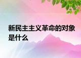 新民主主義革命的對(duì)象是什么