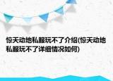 驚天動(dòng)地私服玩不了介紹(驚天動(dòng)地私服玩不了詳細(xì)情況如何)