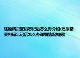 還原精靈密碼忘記后怎么辦介紹(還原精靈密碼忘記后怎么辦詳細情況如何)