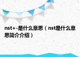 nst+-是什么意思（nst是什么意思簡(jiǎn)介介紹）
