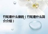 竹輪是什么做的（竹輪是什么簡介介紹）