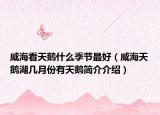 威?？刺禊Z什么季節(jié)最好（威海天鵝湖幾月份有天鵝簡介介紹）
