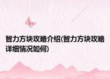 智力方塊攻略介紹(智力方塊攻略詳細(xì)情況如何)