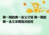 奧一網(wǎng)的奧一含義介紹 奧一網(wǎng)的奧一含義詳細情況如何