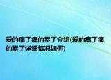 愛(ài)的痛了痛的累了介紹(愛(ài)的痛了痛的累了詳細(xì)情況如何)