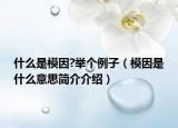 什么是模因?舉個例子（模因是什么意思簡介介紹）
