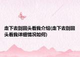 走下去別回頭看我介紹(走下去別回頭看我詳細(xì)情況如何)