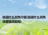 動詞什么炎熱介紹(動詞什么炎熱詳細情況如何)