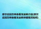 摩爾莊園怎樣查看龍坐騎介紹(摩爾莊園怎樣查看龍坐騎詳細(xì)情況如何)