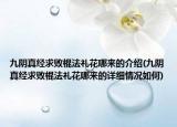 九陰真經(jīng)求敗棍法禮花哪來的介紹(九陰真經(jīng)求敗棍法禮花哪來的詳細情況如何)