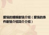 愛情的婚姻劇情介紹（愛情的條件劇情介紹簡介介紹）