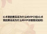 心術(shù)里的黃菁菁為什么叫VIP介紹(心術(shù)里的黃菁菁為什么叫VIP詳細情況如何)