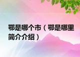 鄂是哪個市（鄂是哪里簡介介紹）