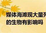24小時快訊更新 媒體海灘現(xiàn)大量死魚與軍演無關(guān) 軍演對海里的生物有影響嗎