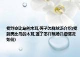 找到奧比島的木耳,蓮子怎樣熬湯介紹(找到奧比島的木耳,蓮子怎樣熬湯詳細(xì)情況如何)