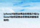 iphoneX如何設(shè)置動(dòng)態(tài)壁紙介紹(iphoneX如何設(shè)置動(dòng)態(tài)壁紙?jiān)敿?xì)情況如何)