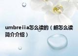 umbreⅱa怎么讀的（頔怎么讀簡介介紹）