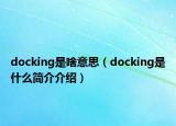 docking是啥意思（docking是什么簡(jiǎn)介介紹）